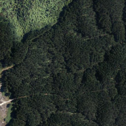 Satellite imagery of Steaming Cliffs, NZ