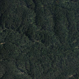 Satellite imagery of Steaming Cliffs, NZ