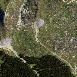 Satellite imagery of 8836, NZ