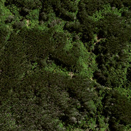 Satellite imagery of TE RIMU NO 2, NZ