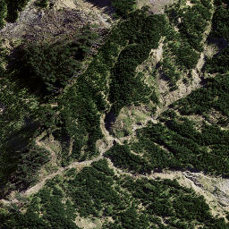 Satellite imagery of 8935, NZ