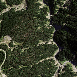 Satellite imagery of 8935, NZ