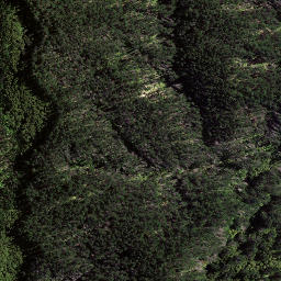Satellite imagery of 8936, NZ