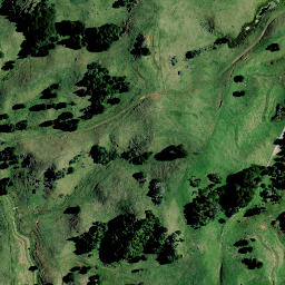 Satellite imagery of Puketutu Pa, NZ