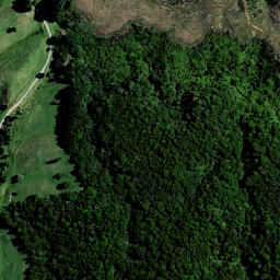 Satellite imagery of Puketutu Pa, NZ