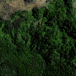 Satellite imagery of Puketutu Pa, NZ