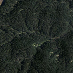 Satellite imagery of Steaming Cliffs, NZ