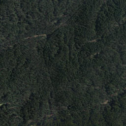Satellite imagery of Steaming Cliffs, NZ