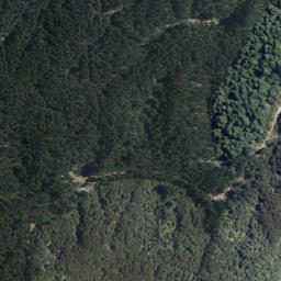 Satellite imagery of Steaming Cliffs, NZ