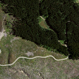 Satellite imagery of 8836, NZ