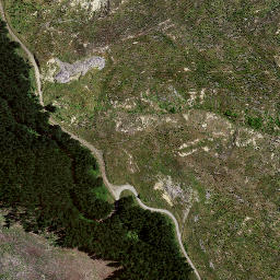 Satellite imagery of 8836, NZ