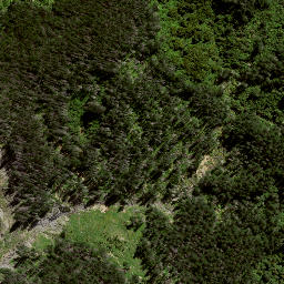 Satellite imagery of 8921, NZ