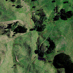Satellite imagery of Puketutu Pa, NZ