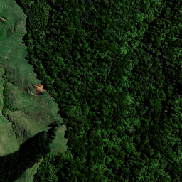 Satellite imagery of Puketutu Pa, NZ