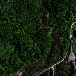 Satellite imagery of Puketutu Pa, NZ