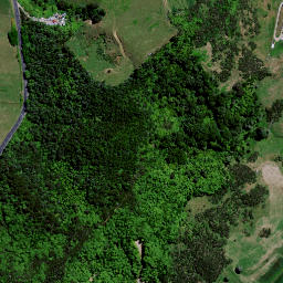 Satellite imagery of 8312 KAPONGARO, NZ