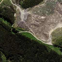 Satellite imagery of 8838, NZ
