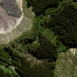 Satellite imagery of 8838, NZ