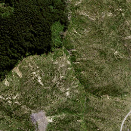 Satellite imagery of 8838, NZ