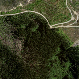Satellite imagery of 8836, NZ