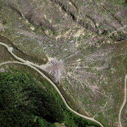 Satellite imagery of 8836, NZ