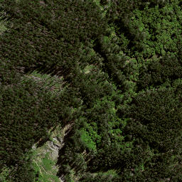 Satellite imagery of 8921, NZ