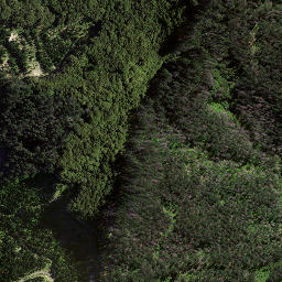 Satellite imagery of 8937, NZ