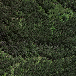 Satellite imagery of 8937, NZ