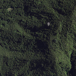 Satellite imagery of 8932, NZ