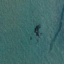 Satellite imagery of Woods Point, AU