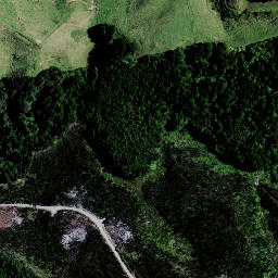 Satellite imagery of Puketutu Pa, NZ