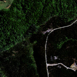 Satellite imagery of Puketutu Pa, NZ