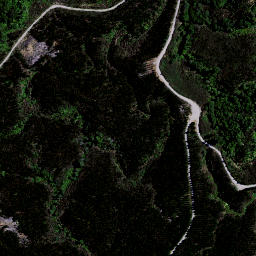 Satellite imagery of Puketutu Pa, NZ