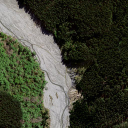 Satellite imagery of 8839, NZ