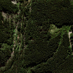 Satellite imagery of 8839, NZ