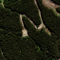 Satellite imagery of 8839, NZ