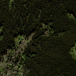 Satellite imagery of 8838, NZ