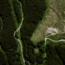 Satellite imagery of 8838, NZ