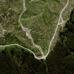 Satellite imagery of 8838, NZ