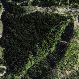 Satellite imagery of 8937, NZ