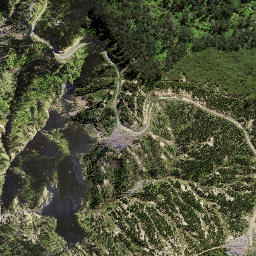 Satellite imagery of 8937, NZ