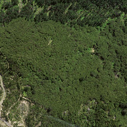 Satellite imagery of 8937, NZ