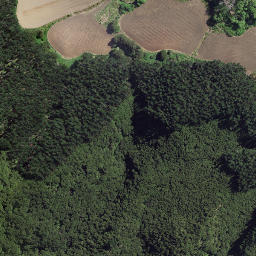 Satellite imagery of 8932, NZ