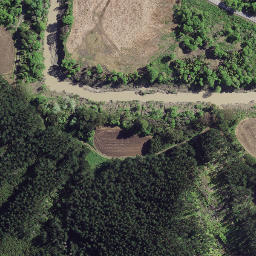 Satellite imagery of 8932, NZ