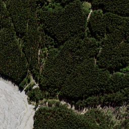 Satellite imagery of 8839, NZ