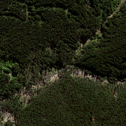 Satellite imagery of 8839, NZ