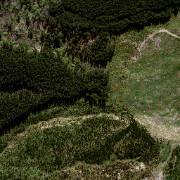 Satellite imagery of 8838, NZ