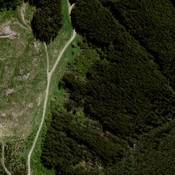 Satellite imagery of 8838, NZ
