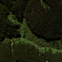 Satellite imagery of 8838, NZ