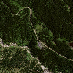 Satellite imagery of 8837, NZ